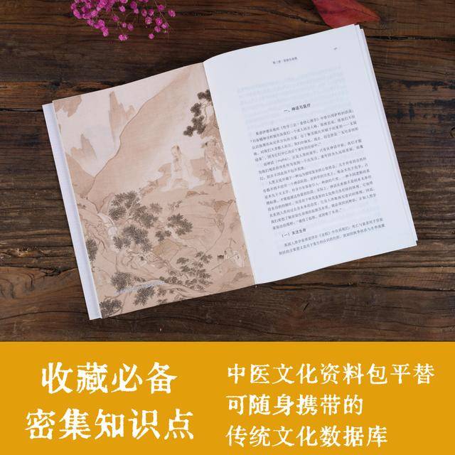 传统文化的瑰宝，经典书籍与现代解读