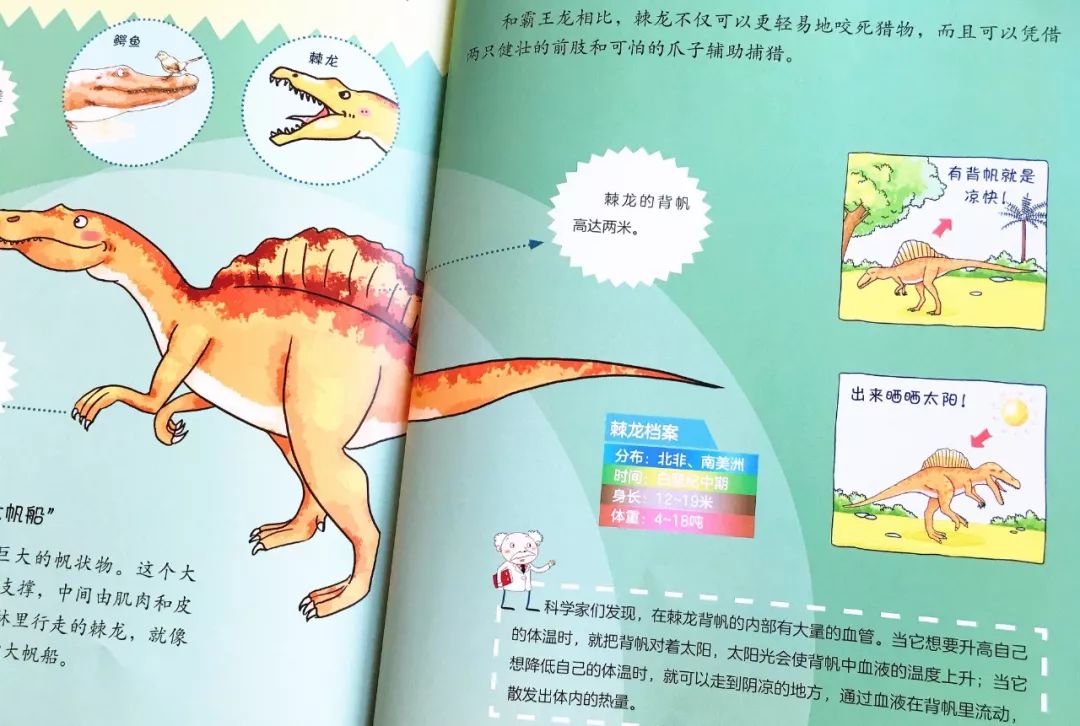 百科小知识内容大全，探索世界的奇妙角落