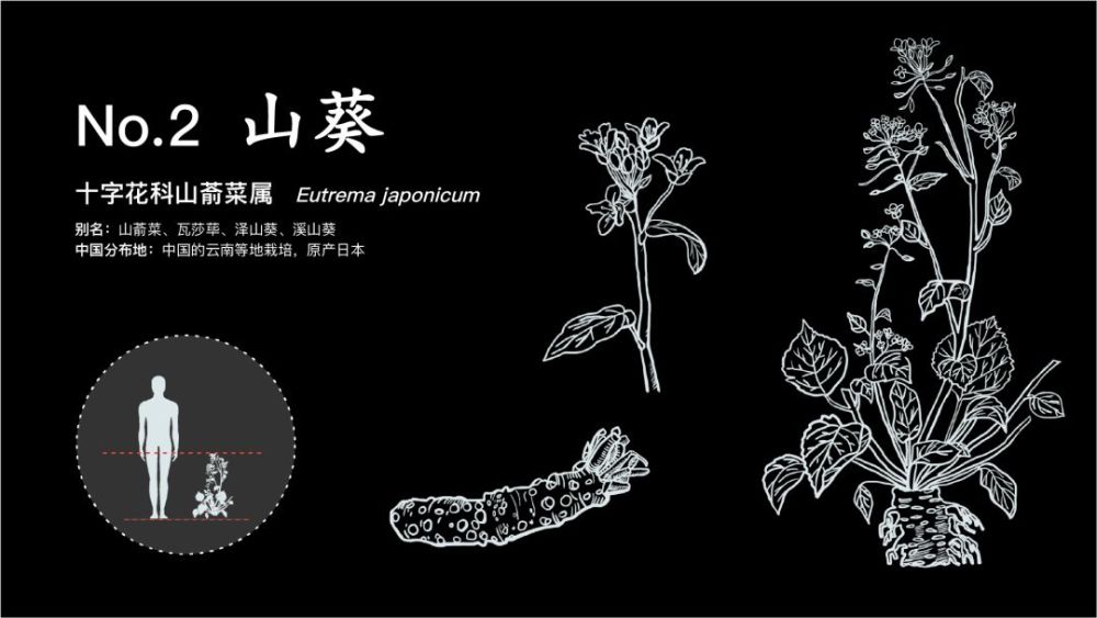 花与生活的千丝万缕