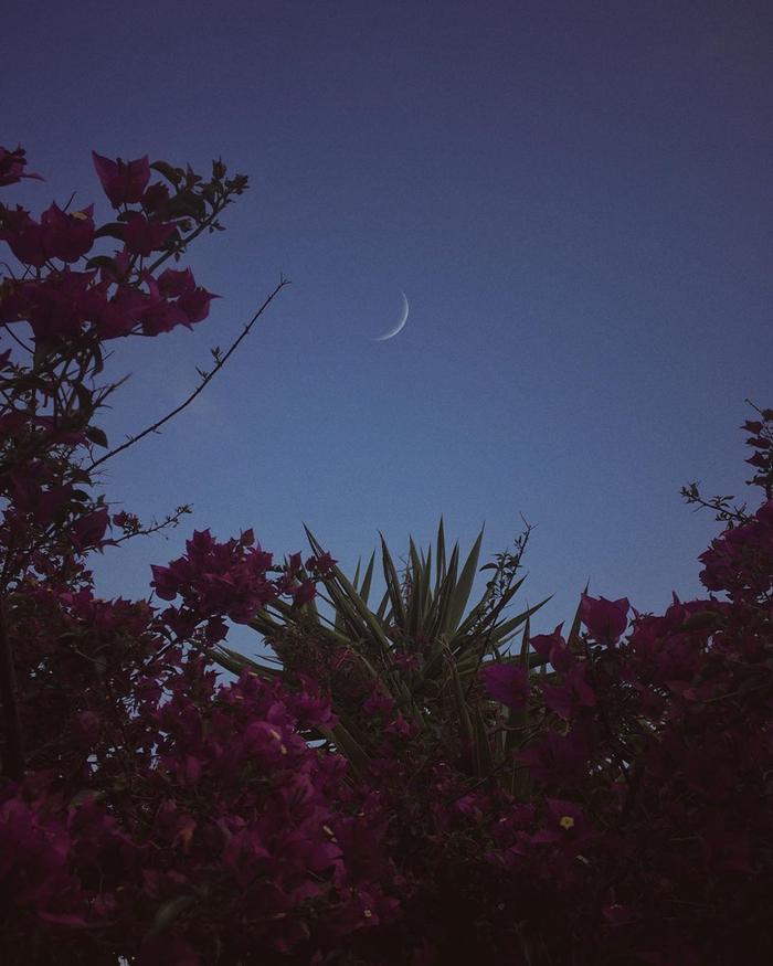 花与月，自然之美的对仗