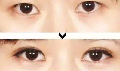 探索知识的海洋，百科全书的力量与魅力