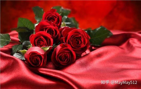 玫瑰花搭配的艺术，色彩、场合与情感表达