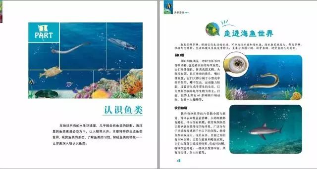 探索知识的海洋，百科平台软件推荐