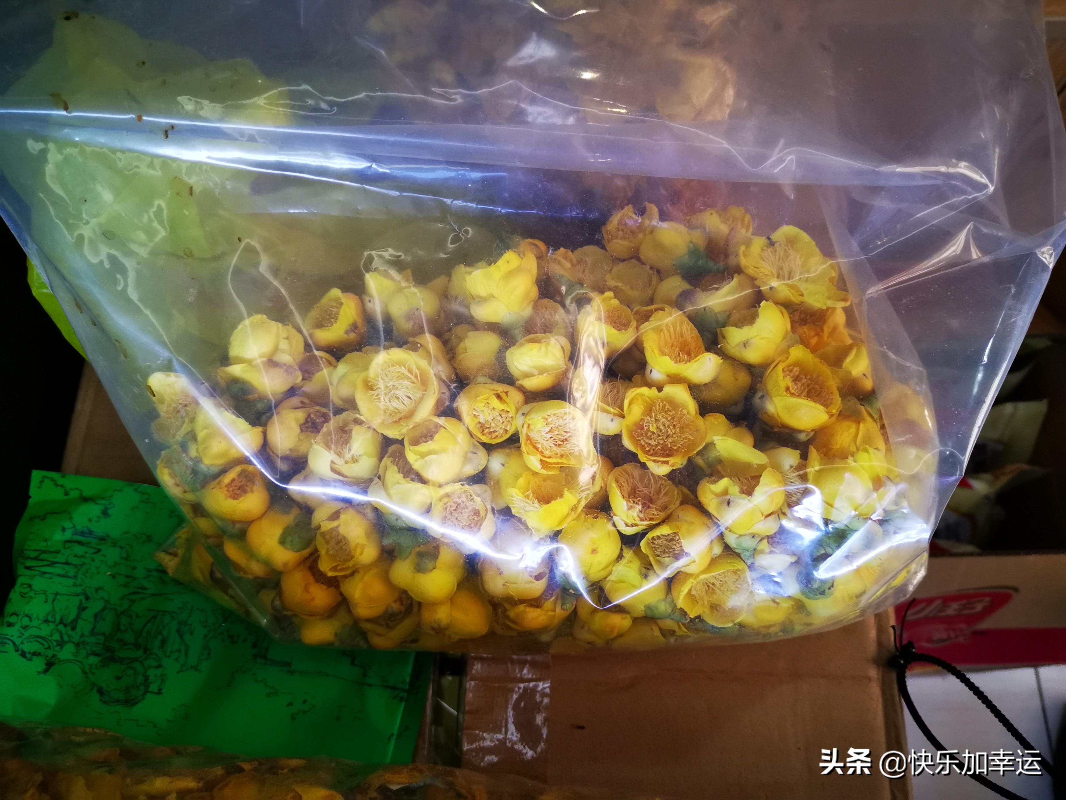 探索茶的神奇功效，哪些茶有助于降低血压和血脂
