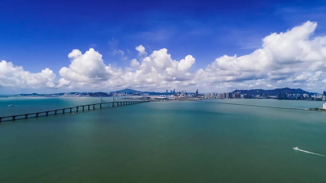 百科全书，知识的海洋与专业领域的桥梁