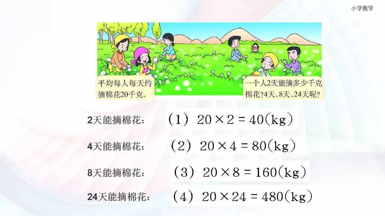 探索数学的奇妙世界，1至6年级数学知识概览