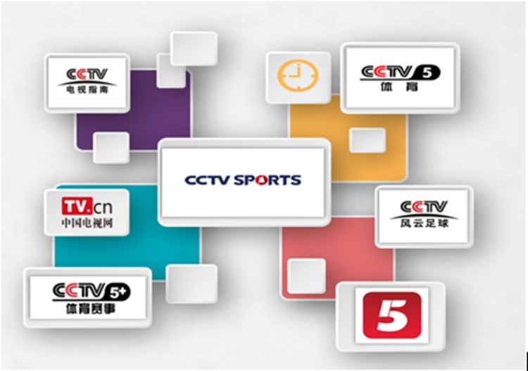 中央电视台域名解析，从技术角度解读CCTV.com