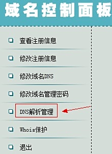如何正确填写央视网主页的域名和IP地址