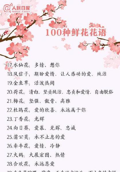 花与花搭配的花语，解读花卉组合的深层含义