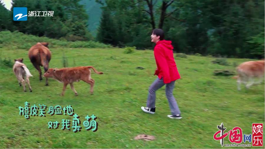 儿童百科系列，大草原上的奇妙世界