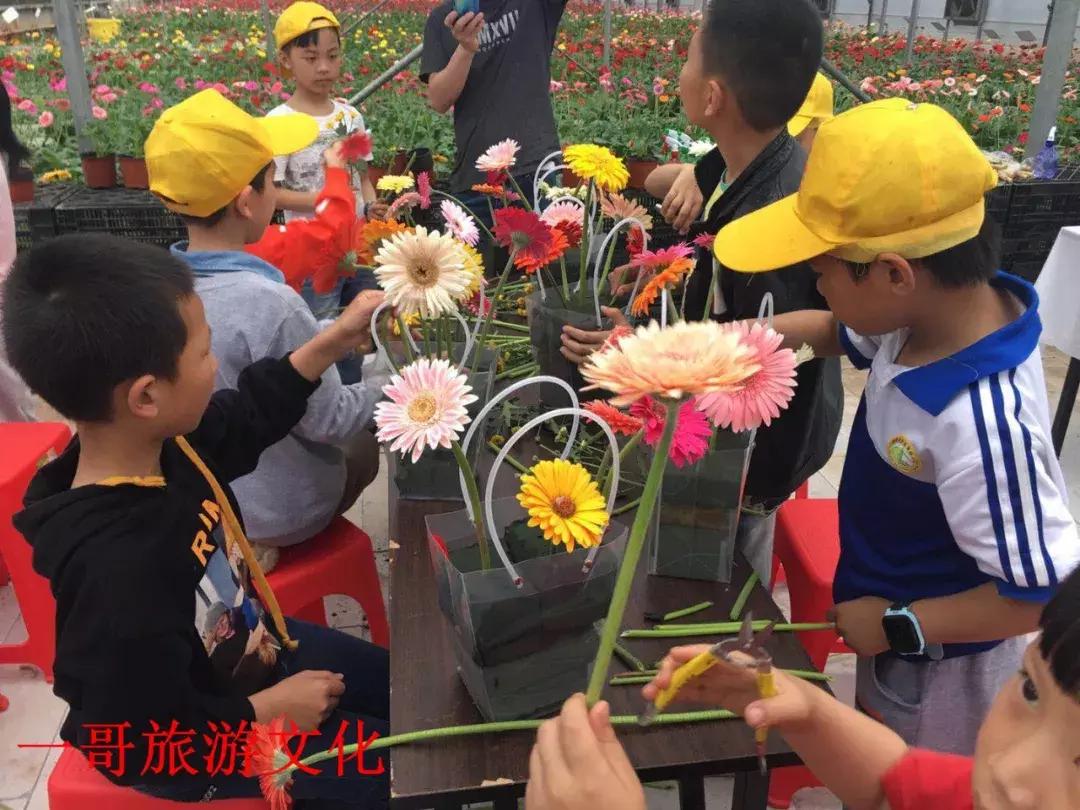 花与花搭配的花语，解读花卉组合的浪漫语言