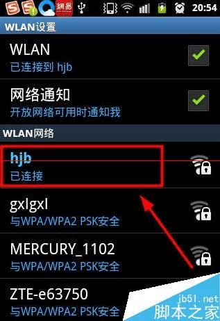 央视网主页域名IP地址查询，方法、步骤与注意事项