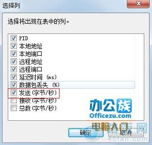 央视网主页域名IP地址查询，方法、步骤与注意事项