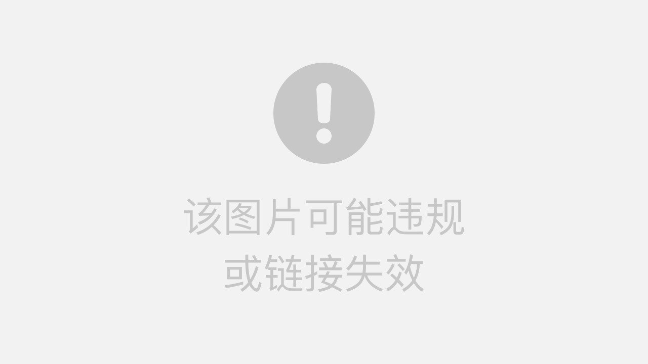 央视网IP地址解析，技术原理与实际应用