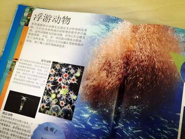 百科知识全书概览，探索知识的海洋