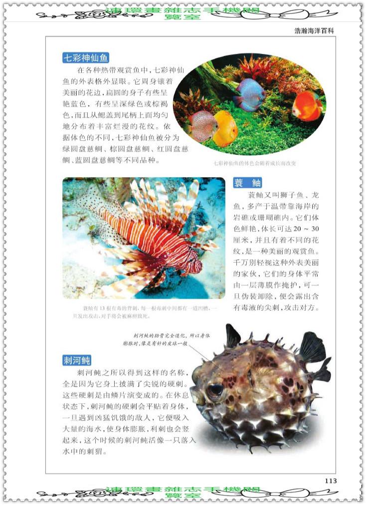 探索知识的海洋，百科全书的力量与魅力
