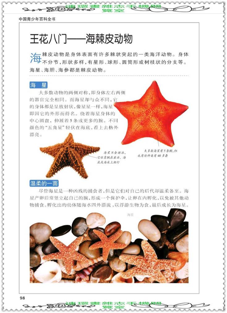 探索知识的海洋，百科全书的力量与魅力