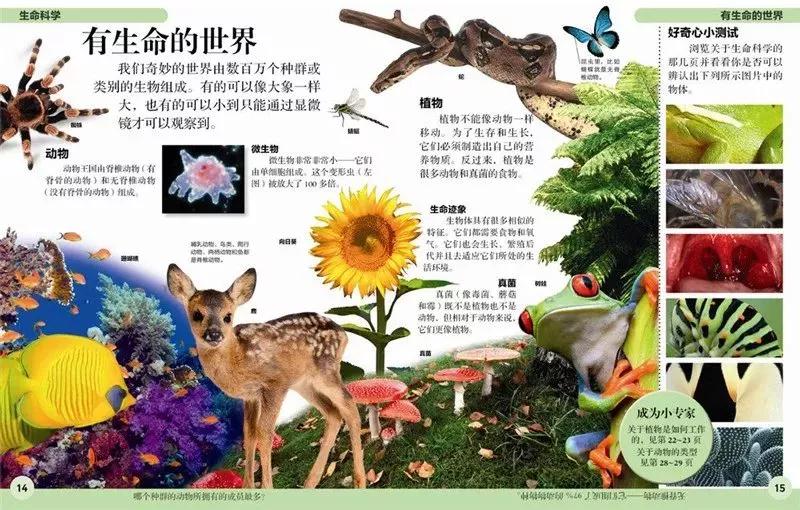 探索儿童百科全书的奇妙世界，主要内容概览