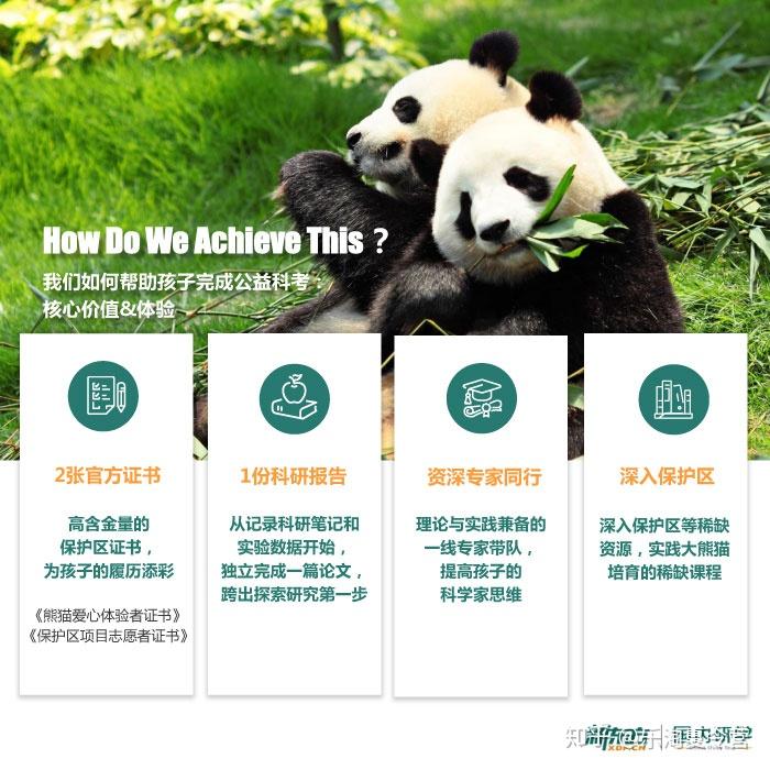 熊猫知识科普，保护与教育的双重使命