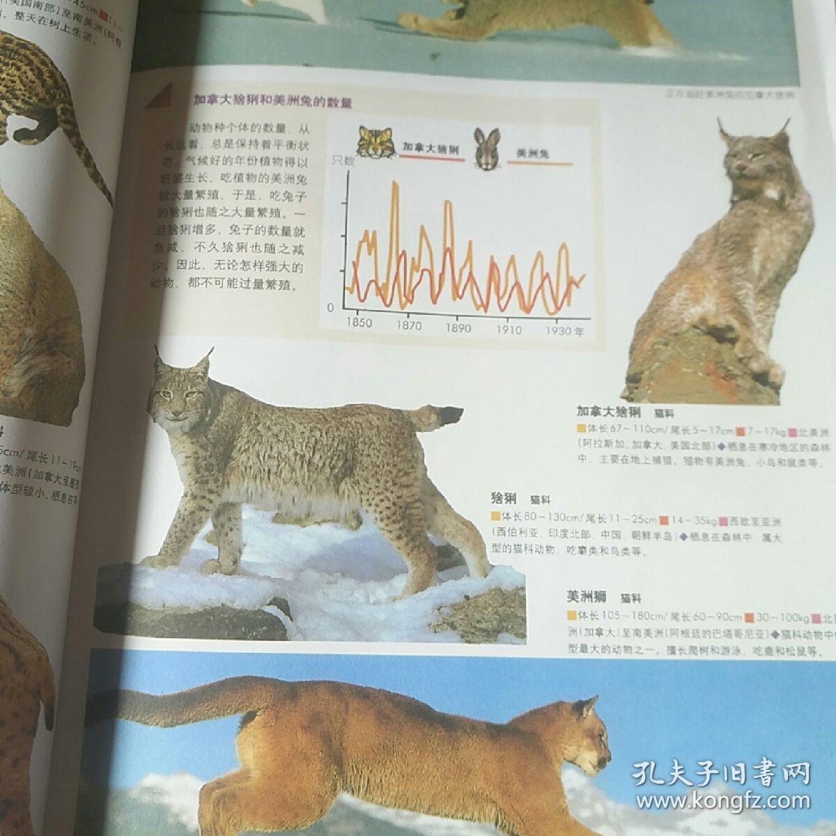 小学生百科常识100题，动物篇