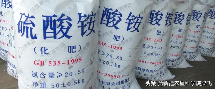 探索百科知识的无限可能，从古至今的智慧结晶