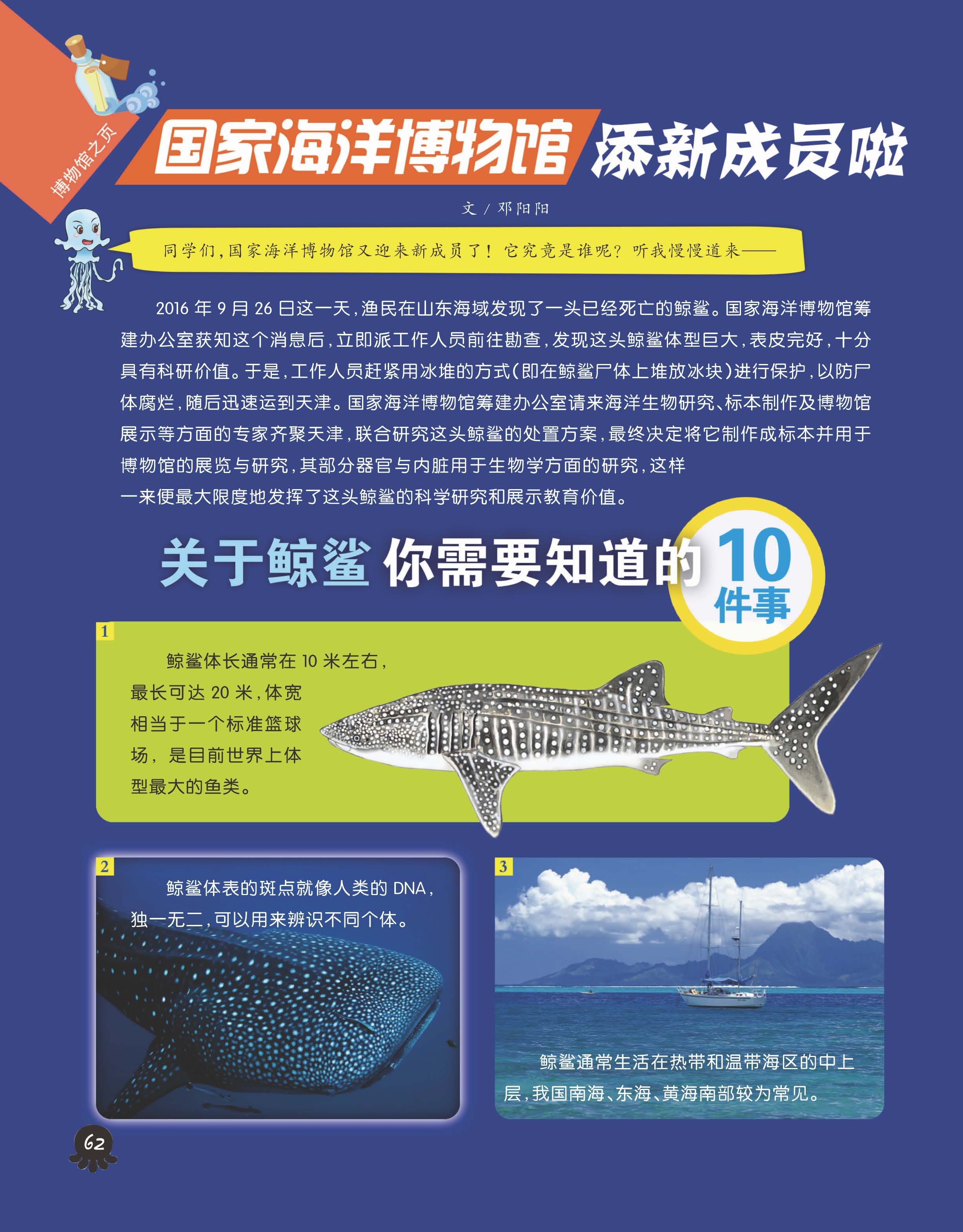 探索百科知识的广阔天地