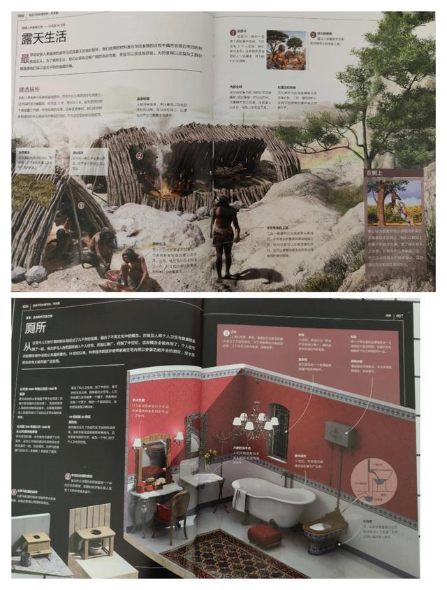 百科问题全答案大全免费，探索知识的无限可能