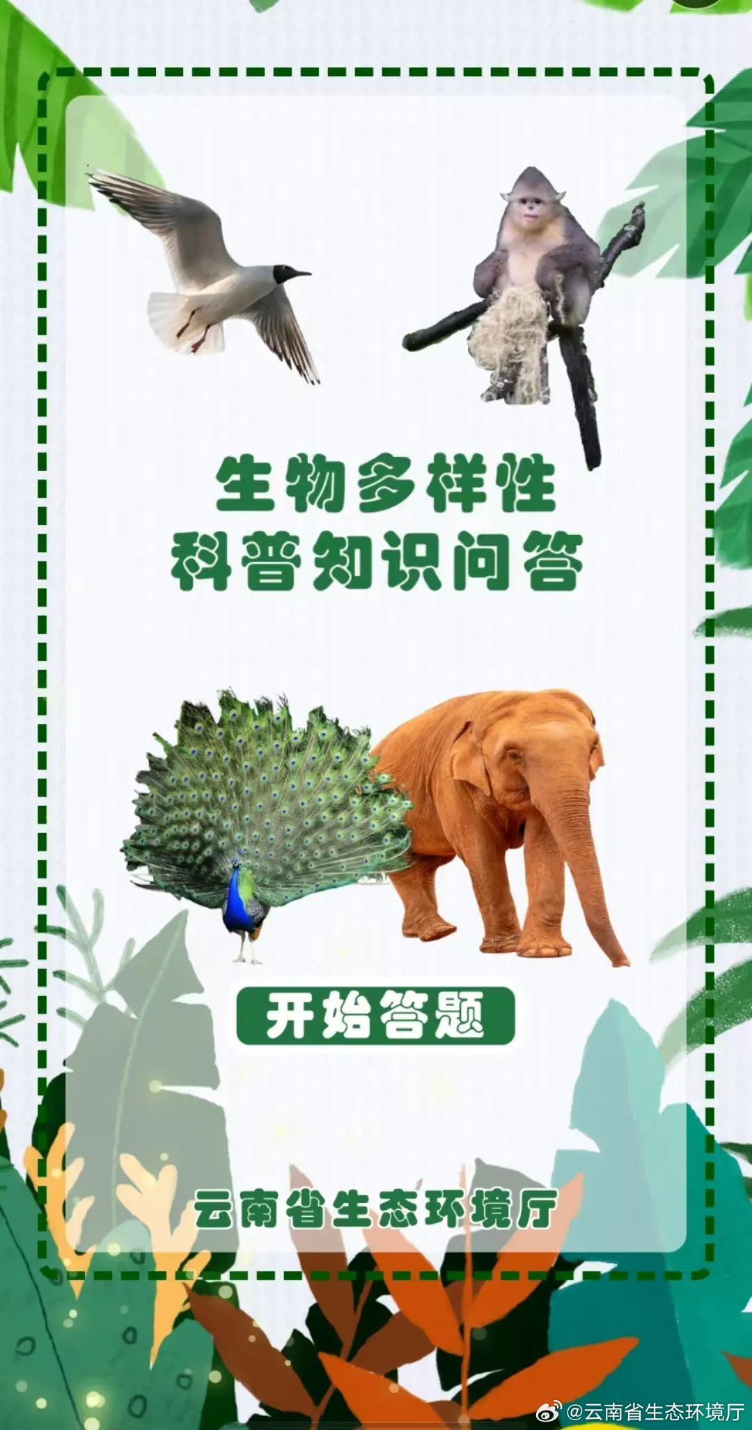 动物百科常识选择题解析，探索自然界的奇妙生物