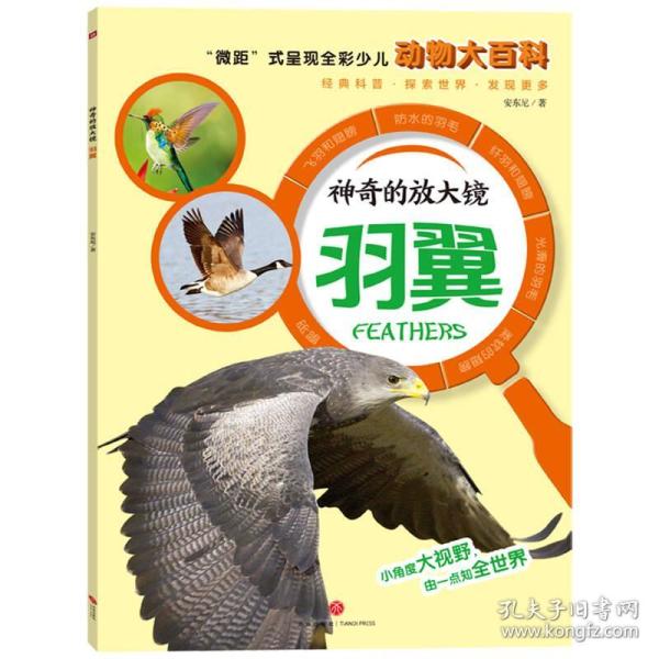 动物百科常识选择题及答案，探索动物世界的奇妙之旅