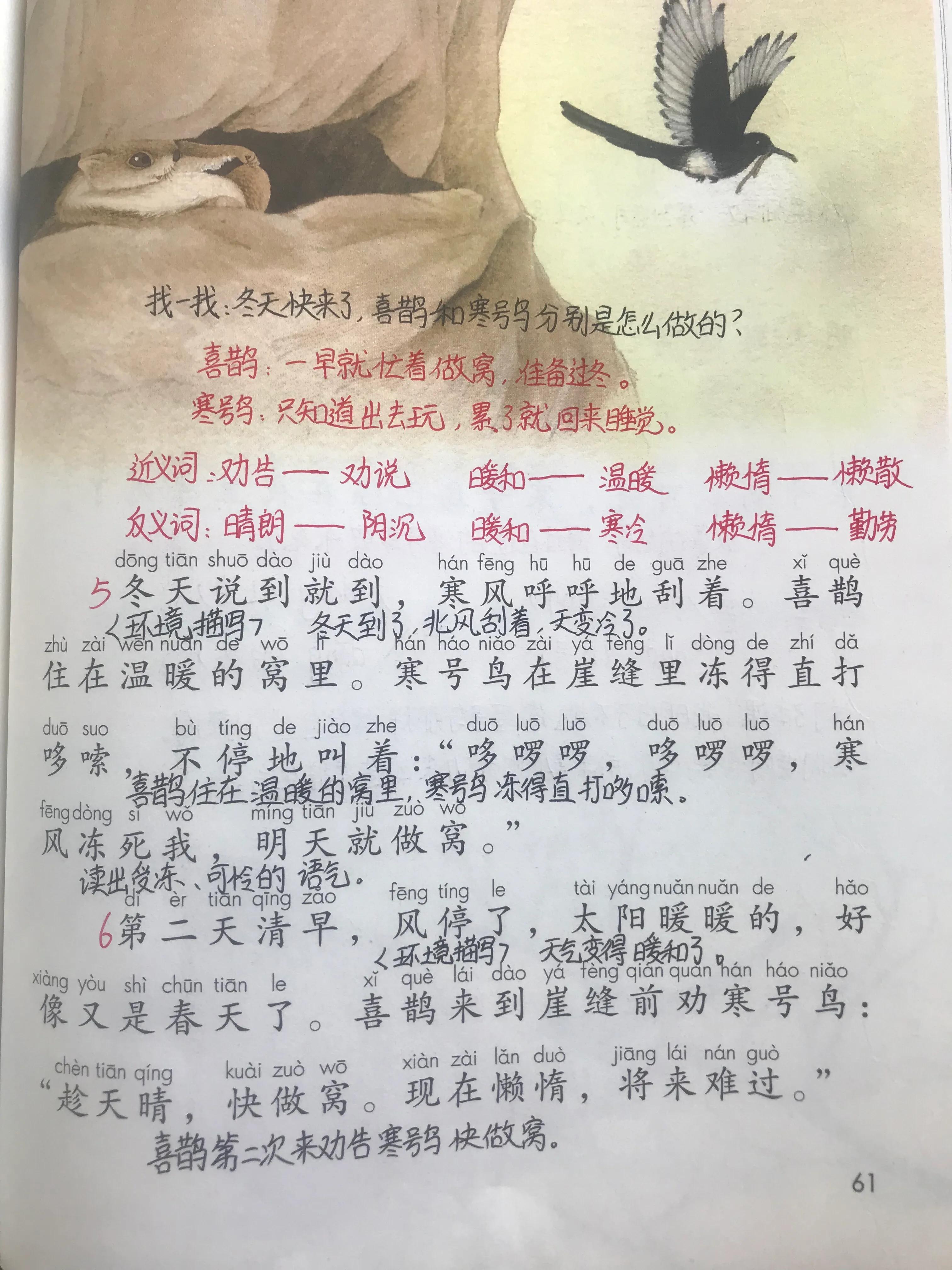 小学生百科问答，开启知识的大门
